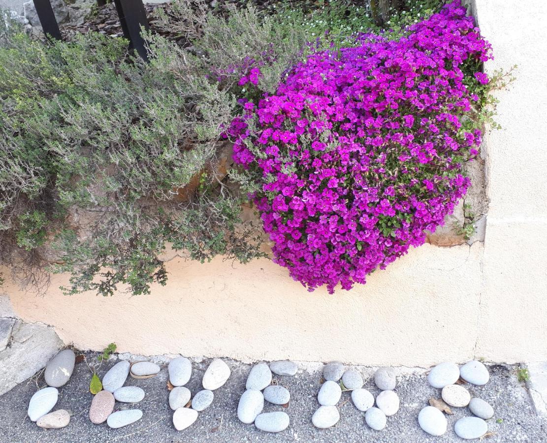 Lou Mas Dau Paigran Bed and Breakfast Saint-Blaise  Buitenkant foto