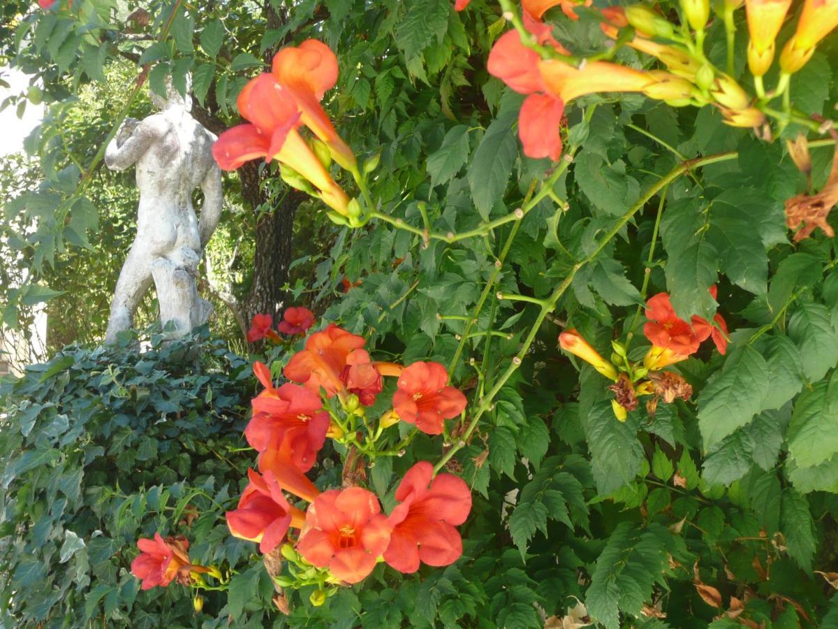 Lou Mas Dau Paigran Bed and Breakfast Saint-Blaise  Buitenkant foto