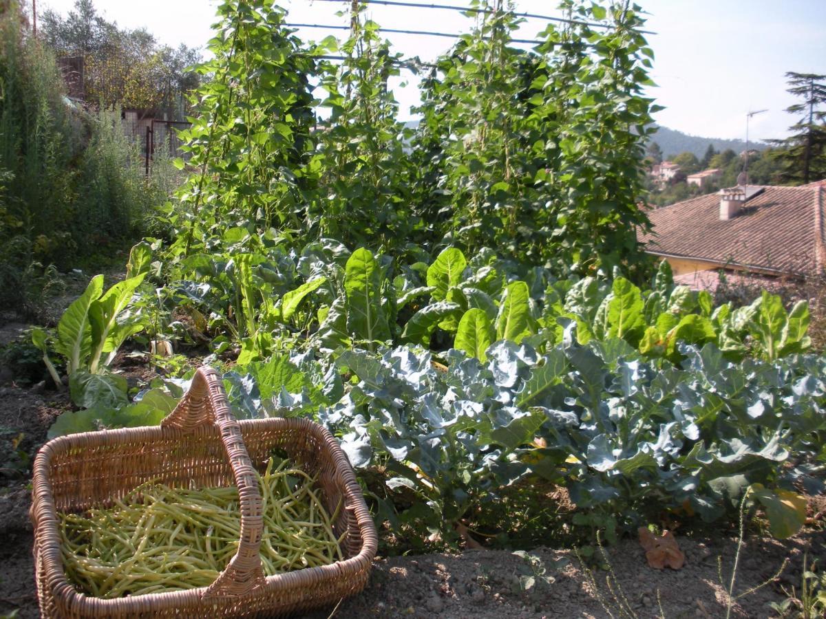 Lou Mas Dau Paigran Bed and Breakfast Saint-Blaise  Buitenkant foto