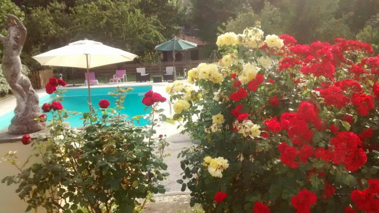 Lou Mas Dau Paigran Bed and Breakfast Saint-Blaise  Buitenkant foto