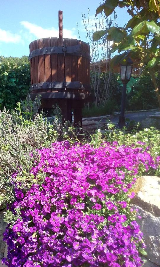 Lou Mas Dau Paigran Bed and Breakfast Saint-Blaise  Buitenkant foto
