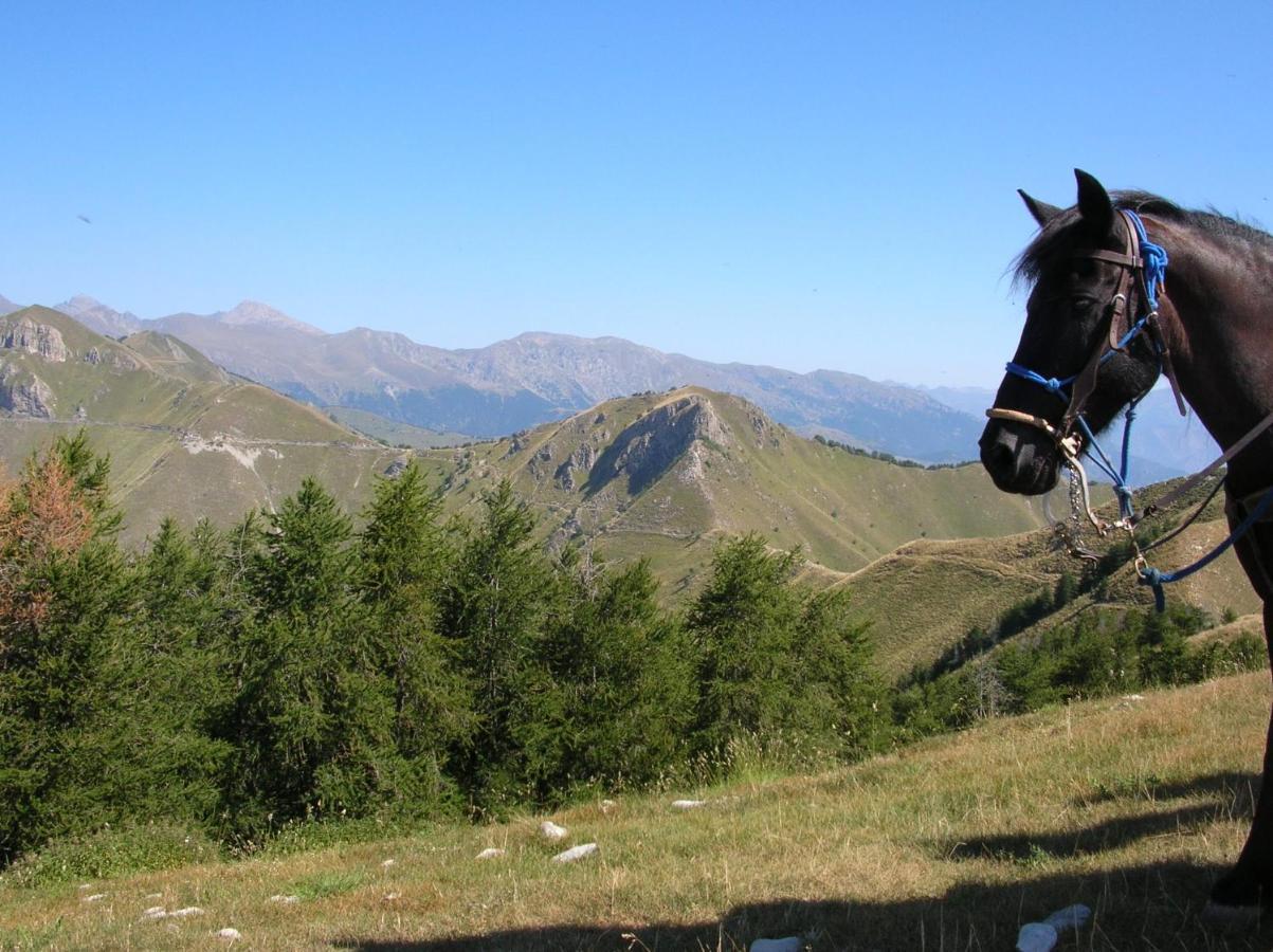Lou Mas Dau Paigran Bed and Breakfast Saint-Blaise  Buitenkant foto