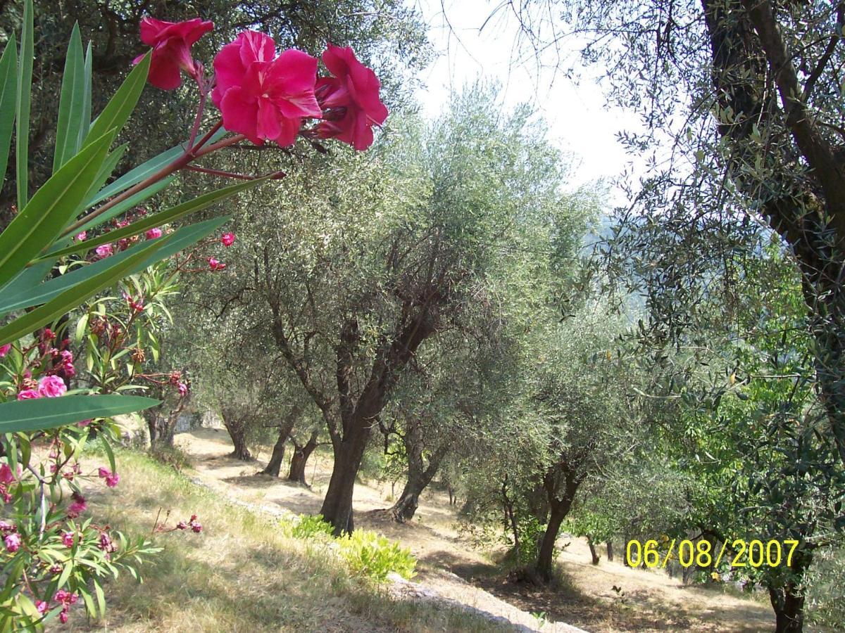 Lou Mas Dau Paigran Bed and Breakfast Saint-Blaise  Buitenkant foto