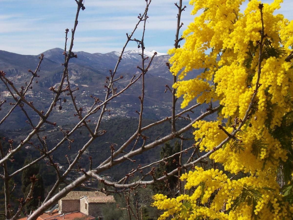 Lou Mas Dau Paigran Bed and Breakfast Saint-Blaise  Buitenkant foto